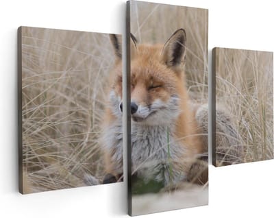 Artaza Canvas Schilderij Drieluik Vos in de Duinen  - 90x60 - Foto Op Canvas - Canvas Print