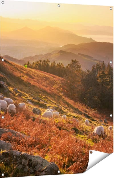 Gards Tuinposter Schapen in de Bergen - 90x120 cm - Tuindoek - Tuindecoratie - Wanddecoratie buiten - Tuinschilderij