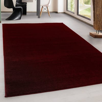 Binnenkleed voor de woonkamer, Scandinavische stijl, platgeweven, antislip, natuurlijke uitstraling, wasbaar. 120x170 cm