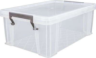 Whitefurze Opbergbox - 10 liter - Transparant - 40 x 26 x 15 cm - kunststof - opslag oplossingen - kist - met deksel