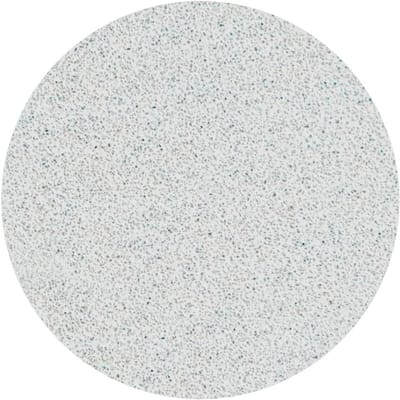 Staleks Wegwerp witte vijlen met zachte schuimlaag voor pedicureschijf PODODISC PRO M (50 stuks) korrel 180 PDFS-20-180w