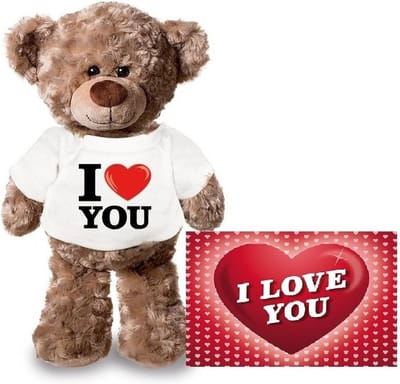 Knuffel teddybeer - met kaart A5 - i love you - 24 cm - pluche - met shirt