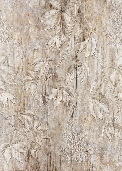 Enjoy Life - Fossil Leaves