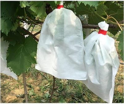 Fruit Beschermzakken - Groeizakken - Fruit Beschermen - Waterdicht Niet-geweven - 100 Stuks - Groen
