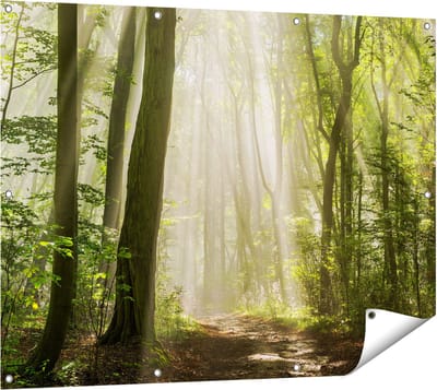 Gards Tuinposter Bos met Bomen en Zonneschijn - 120x90 cm - Tuindoek - Tuindecoratie - Wanddecoratie buiten - Tuinschilderij