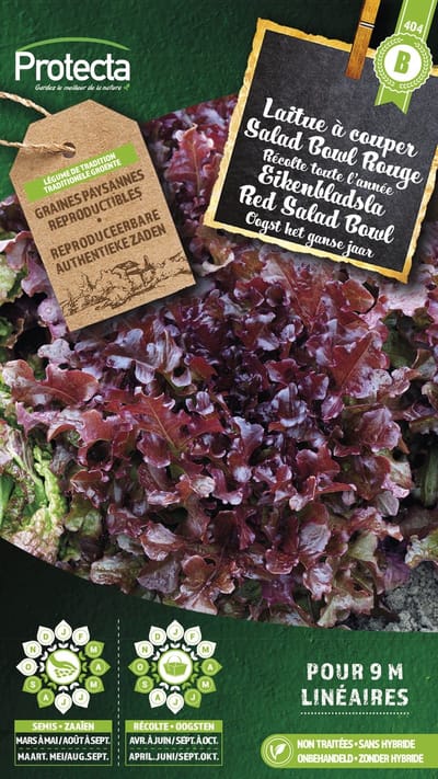 Protecta Groente zaden: Eikenbladsla Rode Salad Bowl