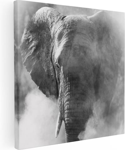 Artaza Canvas Schilderij Olifant - 80x80 cm - Wanddecoratie Dieren - Muurdecoratie Afrika - Schilderijen Op Canvas