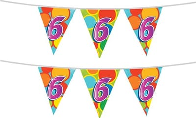 Haza Vlaggenlijn 6 jaar - 2x stuks - 10 meter - plastic - 6e verjaardag versiering - leeftijd slinger