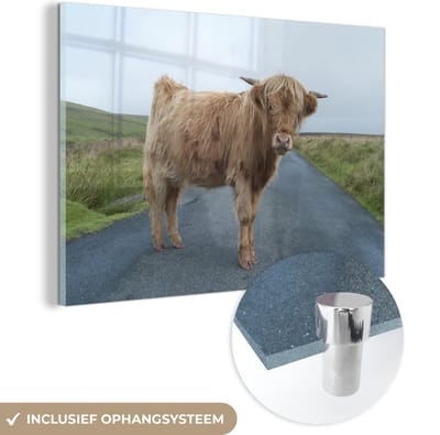 MuchoWow® Glasschilderij 120x80 cm - Schilderij acrylglas - Schotse Hooglander - Weg - Gras - Foto op glas - Schilderijen