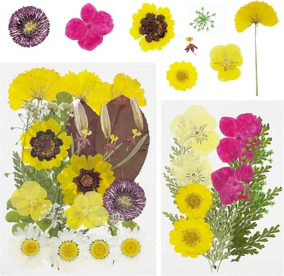Gedroogde Bloemen Bladeren - Natuurlijke Persbloemen - Hars Sieraden Knutselen - Diverse Kleuren Vormen - Geel