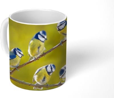 Mok - Koffiemok - Vogel - Pimpelmees - Takken - Zon - Mokken - 350 ML - Beker - Koffiemokken - Theemok