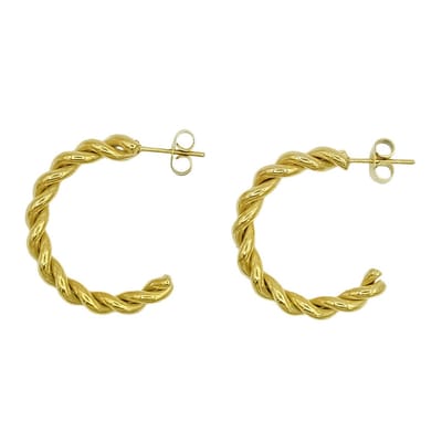 Spiraal oorbellen – Premium gold-plated staal – 25 mm - Goudkleurig