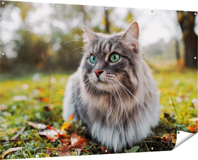 Gards Tuinposter Kat met Groene Ogen op het Gras - 180x120 cm - Tuindoek - Tuindecoratie - Wanddecoratie buiten - Tuinschilderij