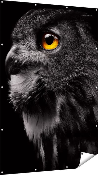 Gards Tuinposter Zwarte Uil met Gouden Ogen - 120x180 cm - Tuindoek - Tuindecoratie - Wanddecoratie buiten - Tuinschilderij