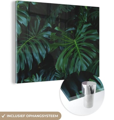 MuchoWow® Glasschilderij 120x90 cm - Schilderij acrylglas - Monstera - Bladeren - Tropisch - Jungle - Foto op glas - Schilderijen