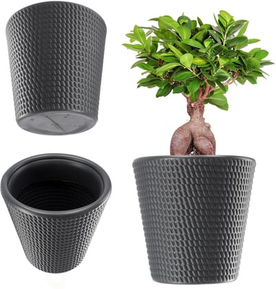 KADAX Bloempot, bloembak van kunststof in 3 kleuren, plantenbak, weerbestendige bloembak met mat oppervlak, outdoor plantenbak (antraciet diameter 30 cm)