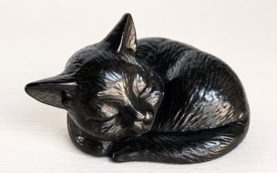 URN / KAT / POES / DIERENURN / ASURN /BRONS / SLAPENDE KAT
