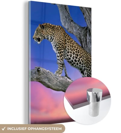 MuchoWow® Glasschilderij 120x180 cm - Schilderij acrylglas - Luipaard - Boom - Tak - Foto op glas - Schilderijen