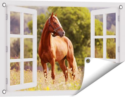 Gards Tuinposter Doorkijk Bruin Paard in de Wei - 60x40 cm - Tuindoek - Tuindecoratie - Wanddecoratie buiten - Tuinschilderij