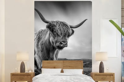 Behang - Fotobehang Koeien - Schotse hooglander - Natuur - Dieren - Zwart wit - Breedte 160 cm x hoogte 240 cm