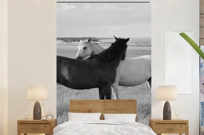 Behang - Fotobehang Paarden - Dieren - Portret - Zwart wit - Platteland - Breedte 170 cm x hoogte 260 cm