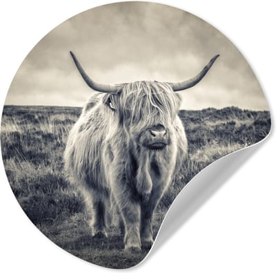 WallCircle® - Behangcirkel 100x100 cm - Muurstickers Schotse hooglander - Dieren - Wolken - Koe - Natuur - Muurcirkel woonkamer - Wandcirkel slaapkamer - Kamer decoratie zelfklevend - Muurdecoratie accessoires XXL
