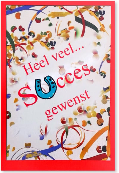 Veel Succes Wenskaart - 12 x 17 cm - gevouwen kaart Inclusief envelop