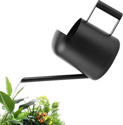 Kleine Gieter RVS 300ml met Lange Tuit - Ideaal voor Binnenplanten, Bonsai en Bloemen