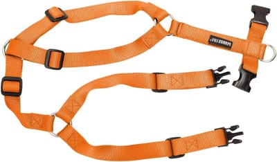 Honden Borsttuig - Honden Harnas - Comfortabel Wandelen - Verstelbare Banden - 57-81 cm - Oranje