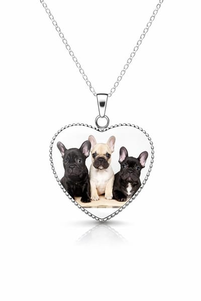 EmmyRovi – Hart ketting met Bulldog – Hond - Verzilverd – Moederdag cadeau - 60 cm