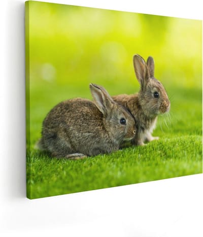 Artaza Canvas Schilderij Konijn - 50x40 cm - Wanddecoratie Dieren - Muurdecoratie Woonkamer - Kamer Accessoires