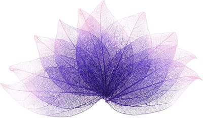 Set van 100 gedroogde skeletbladeren van natuurlijk rubber voor DIY knutselen, scrapbooking en bruiloften - decoratieve kleine bladeren in roze en paars (4-6 cm)
