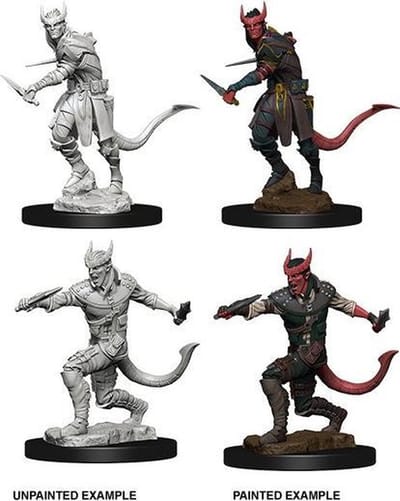 D&D Miniatures Tiefling Male Rogue - EN