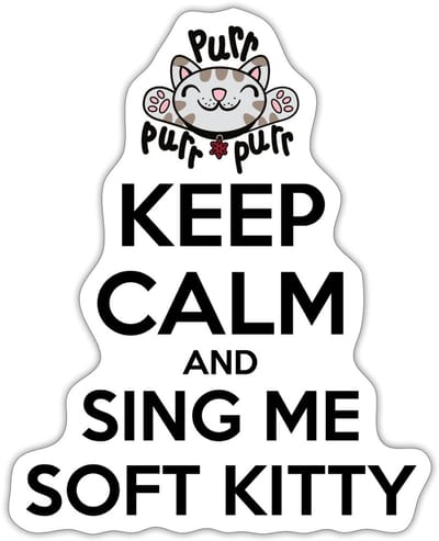 The Big Bang Theory Sing Soft Kitty Sticker Maat S (max. 10 x 10cm)