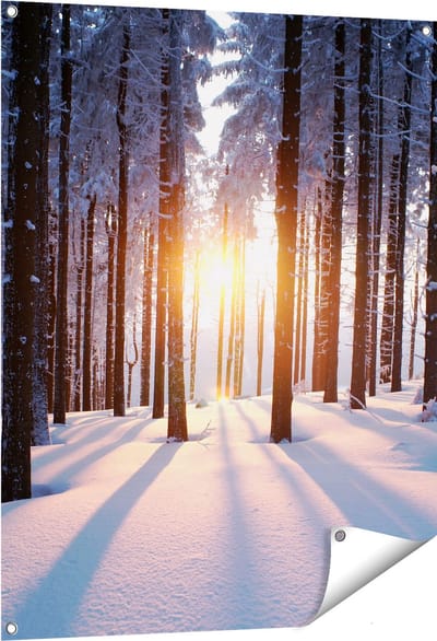 Gards Tuinposter Bos met Sneeuw tijdens de Zonsondergang - 80x100 cm - Tuindoek - Tuindecoratie - Wanddecoratie buiten - Tuinschilderij