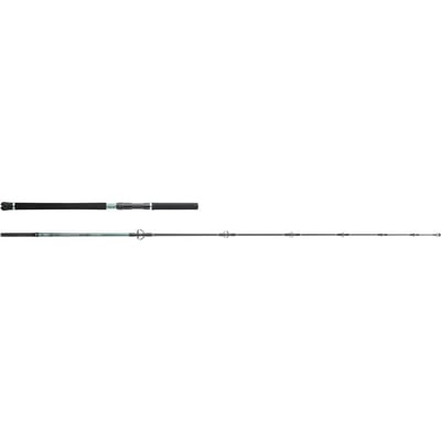 Spinhengel Hearty Rise Monster game Tuna Hunter 30-100 g