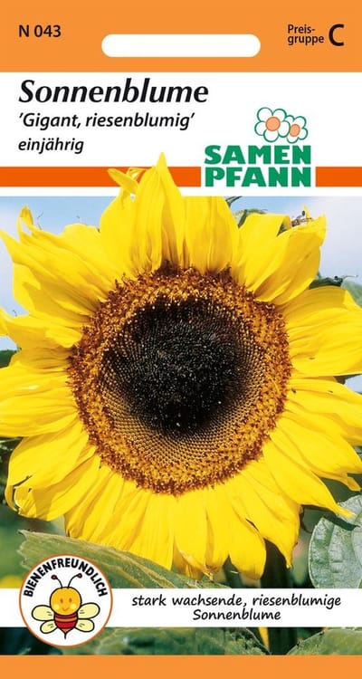 Reuzenzonnebloem - Bloemzaden Zonnebloemzaden