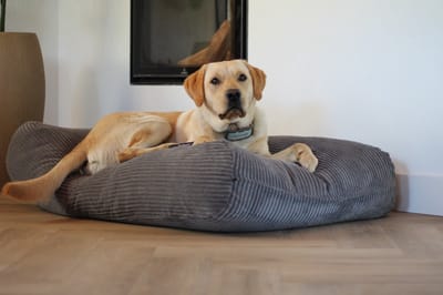 Dog's Companion Hondenkussen / Hondenbed - XS - 55 x 45 cm - Muisgrijs Giant Ribcord