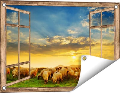 Gards Tuinposter Doorkijk Kudde Schapen op het Gras bij Zonsondergang - 60x40 cm - Tuindoek - Tuindecoratie - Wanddecoratie buiten - Tuinschilderij