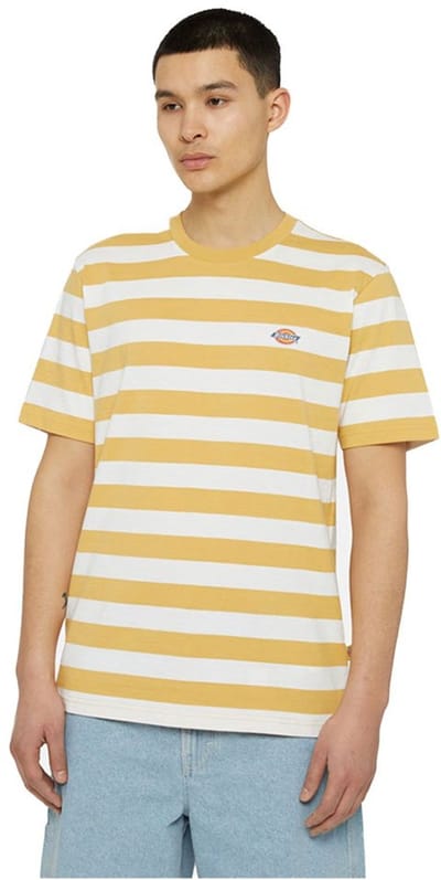 Dickies Rivergrove T-shirt Met Korte Mouwen Geel S Man