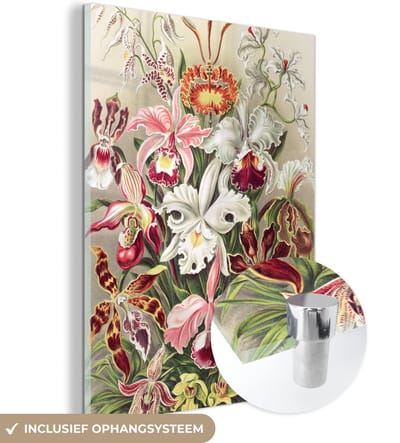 MuchoWow® Glasschilderij 30x40 cm - Schilderij acrylglas - Bloemen - Ernst Haeckel - Vintage - Orchidee - Foto op glas - Schilderijen