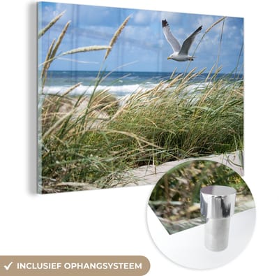 MuchoWow® Glasschilderij 150x100 cm - Schilderij acrylglas - Strand - Vogel - Planten - Foto op glas - Muurdecoratie woonkamer - Wanddecoratie slaapkamer - Schilderijen