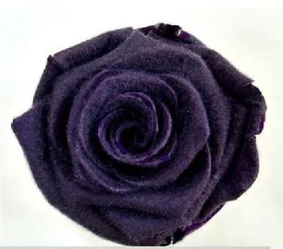 4x Dc pres.rozen teddy purple