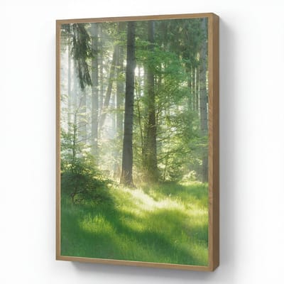 Wandlamp 60x90 cm - Oplaadbaar - Natuur - Bomen - Bos - Groen - Zon - Gras - Planten - Wandlampen binnen woonkamer - Slaapkamer lamp - Decoratieve nachtlamp - Vloerlamp draadloos