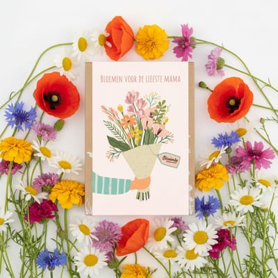Blossombs Bloembommetjes Giftbox Mini - 4 Zaadbommetjes - Boeket - Bos Bloemen Cadeau