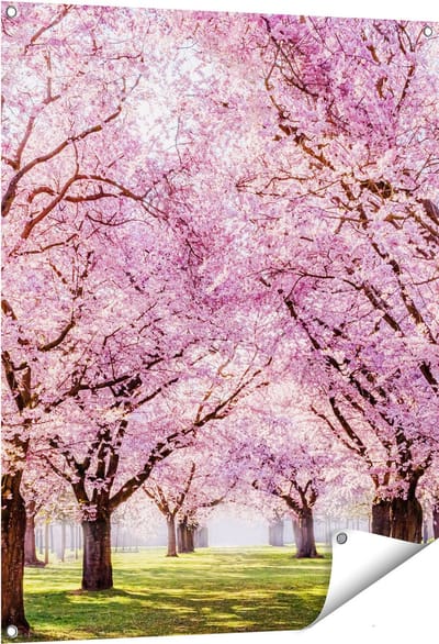 Gards Tuinposter Roze Bloesembomen Park - Bloemen - 80x100 cm - Tuindoek - Tuindecoratie - Wanddecoratie buiten - Tuinschilderij