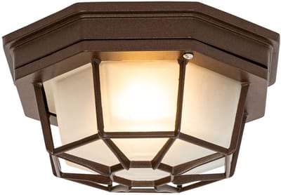 QAZQA bri - Landelijke Plafondlamp voor buiten - 1 lichts - Ø 21.3 cm - Roestbruin - Buitenverlichting