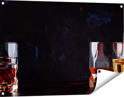Gards Tuinposter Sterke Alcohol Drank - Glazen - 90x60 cm - Tuindoek - Tuindecoratie - Wanddecoratie buiten - Tuinschilderij