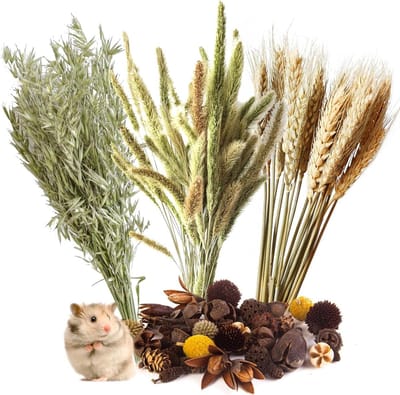 Natuurlijke Graan Oortjes - Hamster Decoratie - Habitat Verrijking - Handgeplukt Gedroogd - 104g - Natuurlijk Beige