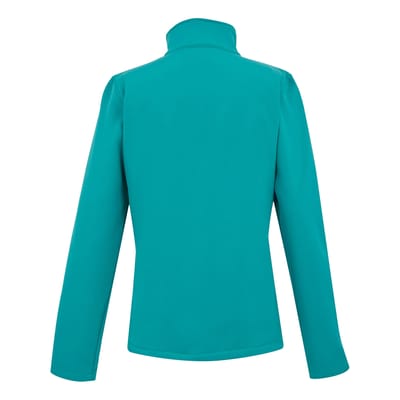 Regatta Dames/dames Connie V Softshell wandeljack (Exotisch pruim/Icy ochtend)